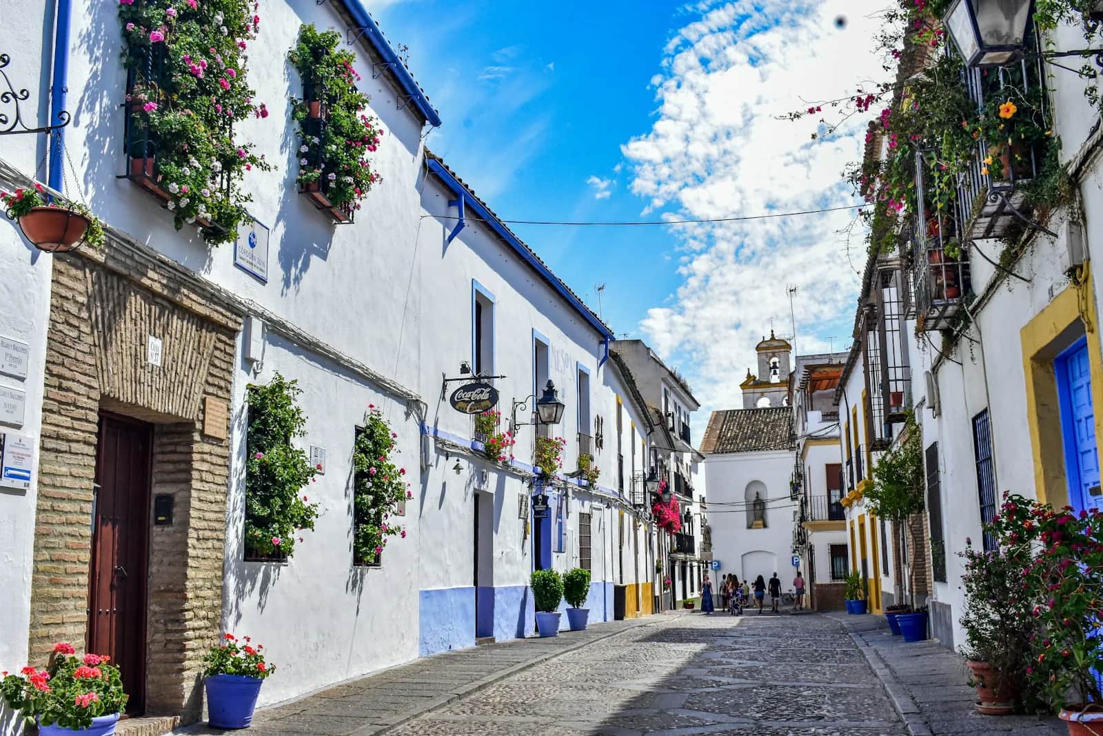 Smal steegje met bloempotten en witte muren in de oude stad van Córdoba