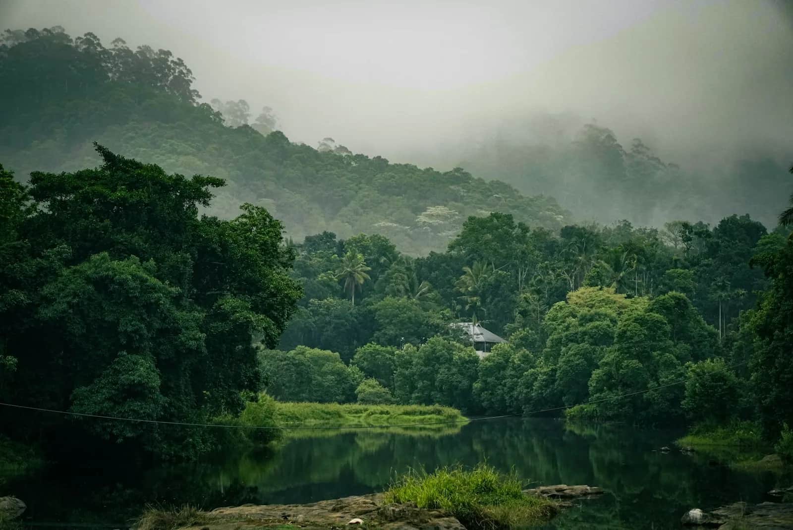 Thekkady & Periyar National Park Zuid-India