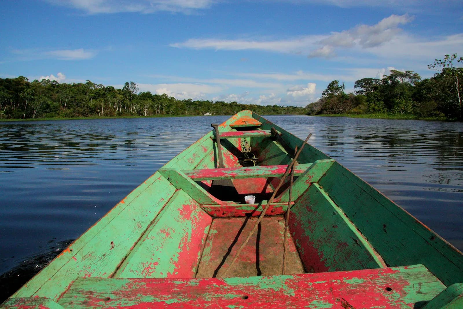 Manaus Toegangspoort tot de Amazone Brazilië