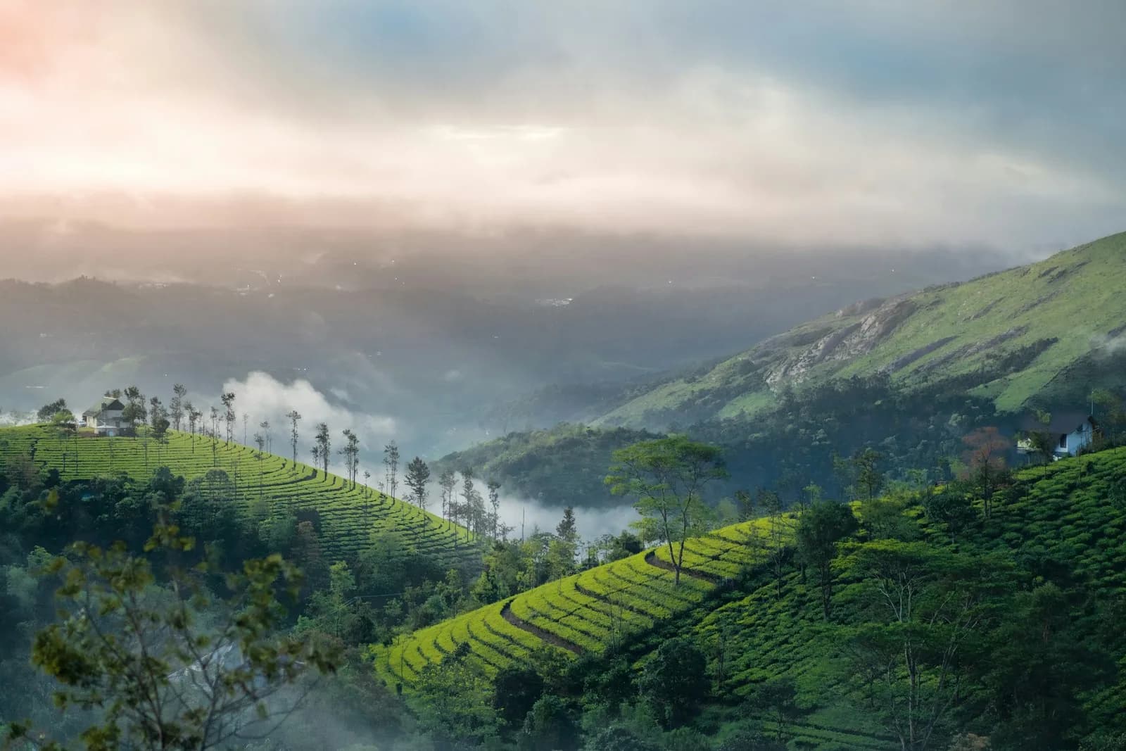 Coonoor Ooty Tamil Nandu India Zuid-India