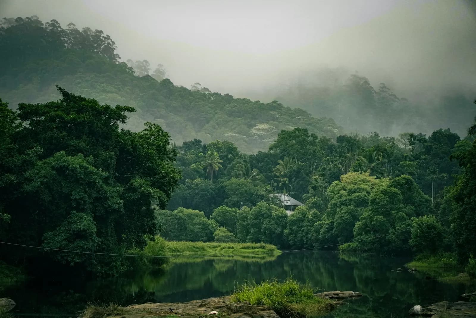 Thekkady & Periyar National Park Zuid-India