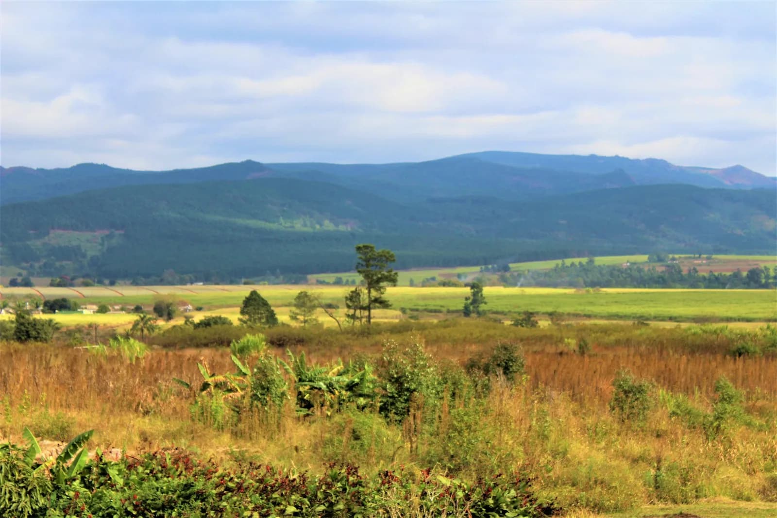 Eswatini, Mbabane, Hlane, Mlilwane, Ezulwini